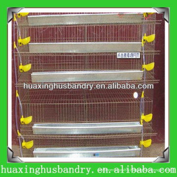 New Design good quality metal quail cage for sale(factory)
